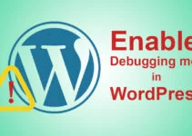 How to enable Debugging mode in WordPress
