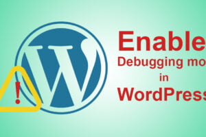How to enable Debugging mode in WordPress